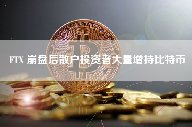 FTX 崩盘后散户投资者大量增持比特币