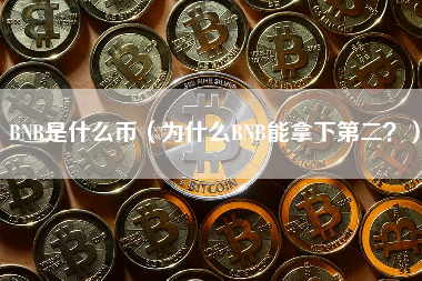 BNB是什么币（为什么BNB能拿下第二？）