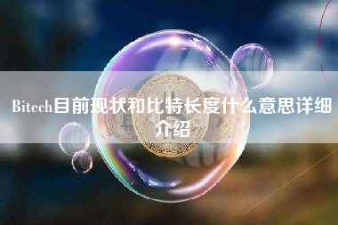 Bitech目前现状和比特长度什么意思详细介绍