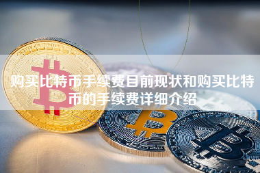 购买比特币手续费目前现状和购买比特币的手续费详细介绍