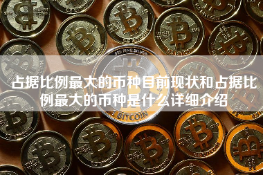 占据比例最大的币种目前现状和占据比例最大的币种是什么详细介绍