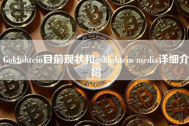 Gokhshtein目前现状和gokhshtein media详细介绍