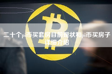 二十个pi币买套房目前现状和pi币买房子详细介绍