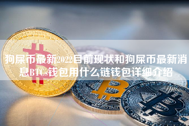 狗屎币最新2022目前现状和狗屎币最新消息BTCs钱包用什么链钱包详细介绍