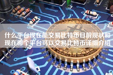 什么平台现在能交易比特币目前现状和现在哪个平台可以交易比特币详细介绍