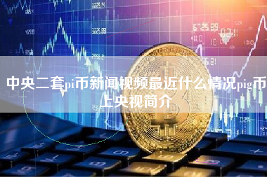 中央二套pi币新闻视频最近什么情况pig币上央视简介