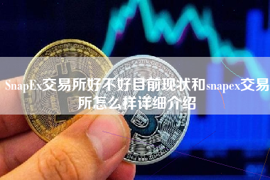 SnapEx交易所好不好目前现状和snapex交易所怎么样详细介绍