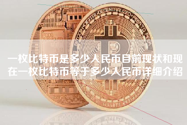 一枚比特币是多少人民币目前现状和现在一枚比特币等于多少人民币详细介绍