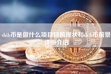 shib币是做什么项目目前现状和shib币前景详细介绍