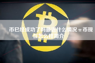 泒币巳经成功了吗最近什么情况π币现在怎么样简介