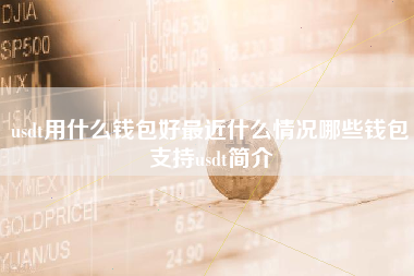 usdt用什么钱包好最近什么情况哪些钱包支持usdt简介