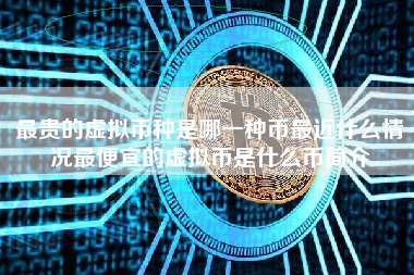 最贵的虚拟币种是哪一种币最近什么情况最便宜的虚拟币是什么币简介
