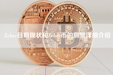 Zebec目前现状和Zebec币的前景详细介绍 火币公告