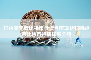 国内哪里看比特币行情目前现状和哪能看比特币行情详细介绍