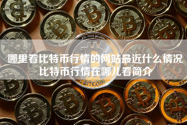 哪里看比特币行情的网站最近什么情况比特币行情在哪儿看简介