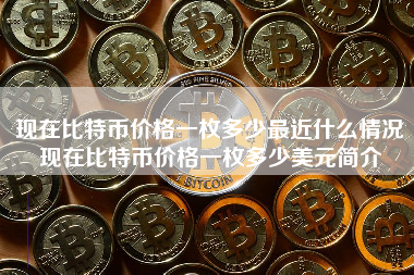 现在比特币价格一枚多少最近什么情况现在比特币价格一枚多少美元简介