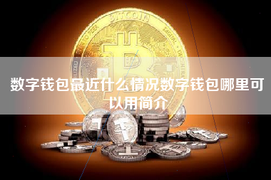 数字钱包最近什么情况数字钱包哪里可以用简介