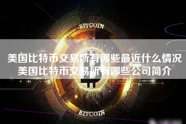 美国比特币交易所有哪些最近什么情况美国比特币交易所有哪些公司简介