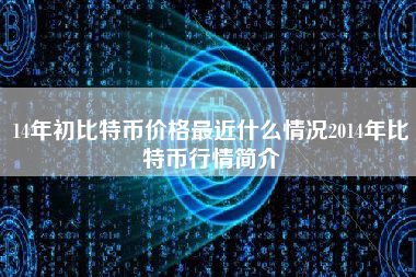 14年初比特币价格最近什么情况2014年比特币行情简介