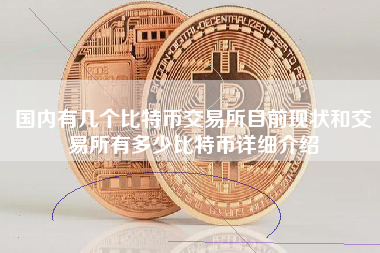 国内有几个比特币交易所目前现状和交易所有多少比特币详细介绍