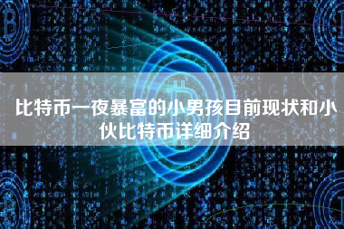 比特币一夜暴富的小男孩目前现状和小伙比特币详细介绍