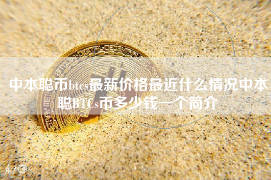 中本聪币btcs最新价格最近什么情况中本聪BTCs币多少钱一个简介