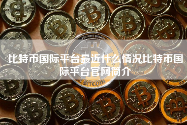 比特币国际平台最近什么情况比特币国际平台官网简介
