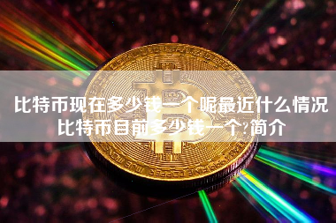 比特币现在多少钱一个呢最近什么情况比特币目前多少钱一个?简介
