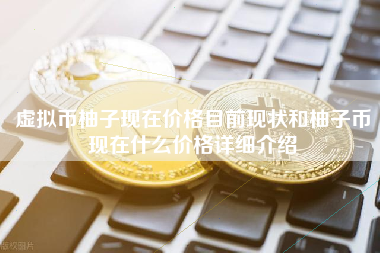 虚拟币柚子现在价格目前现状和柚子币现在什么价格详细介绍
