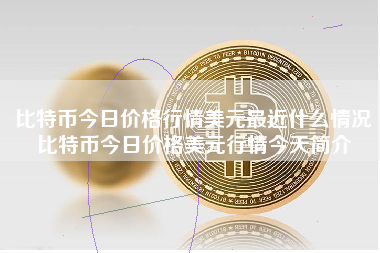 比特币今日价格行情美元最近什么情况比特币今日价格美元行情今天简介