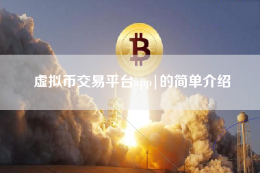 虚拟币交易平台app|的简单介绍