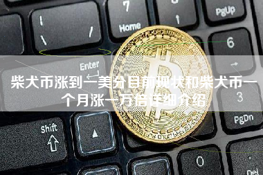 柴犬币涨到一美分目前现状和柴犬币一个月涨一万倍详细介绍