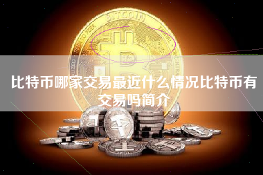 比特币哪家交易最近什么情况比特币有交易吗简介