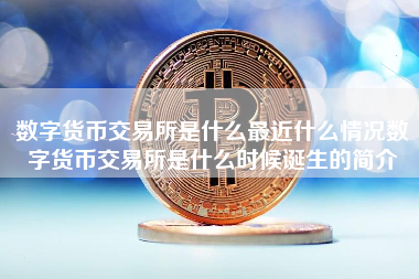 数字货币交易所是什么最近什么情况数字货币交易所是什么时候诞生的简介