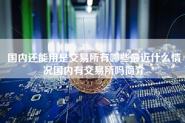 国内还能用是交易所有哪些最近什么情况国内有交易所吗简介