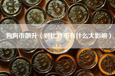 狗狗币飙升（对比特币有什么大影响）