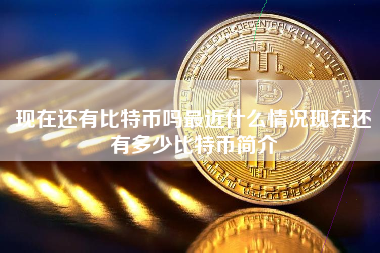 现在还有比特币吗最近什么情况现在还有多少比特币简介