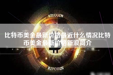 比特币美金最新价格最近什么情况比特币美金最新价格新浪简介