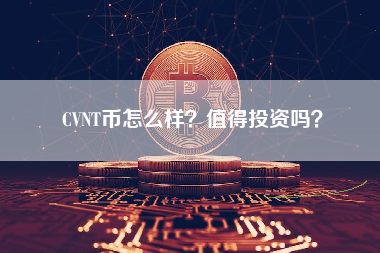 CVNT币怎么样？值得投资吗？