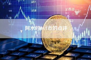 阿水对DAT币的点评