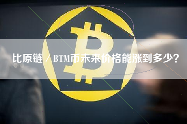 比原链／BTM币未来价格能涨到多少？
