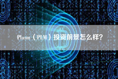 Plasm（PLM）投资前景怎么样？