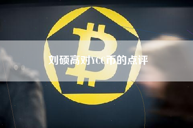 刘硕高对YCC币的点评