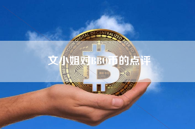文小姐对BBO币的点评
