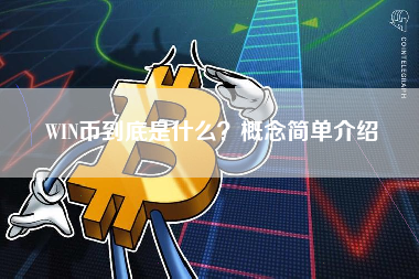 WIN币到底是什么？概念简单介绍
