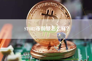 STORJ币前景怎么样？