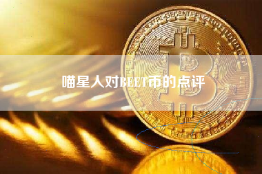 喵星人对BEET币的点评