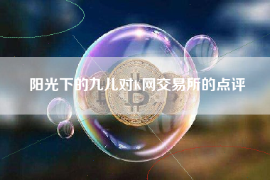 阳光下的九儿对K网交易所的点评