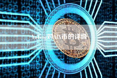 YaTing对AIX币的评级