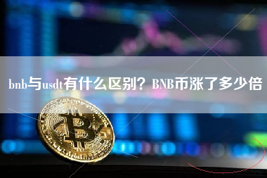 bnb与usdt有什么区别？BNB币涨了多少倍